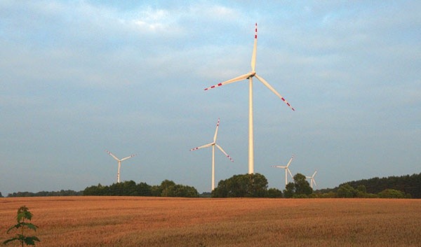 W jednej trzeciej skontrolowanych przypadków elektrownie wiatrowe lokalizowane były na prywatnych gruntach wójtów, radnych, burmistrzów czy pracowników gminy