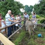 VIII Franciszkański Festyn w Kętach