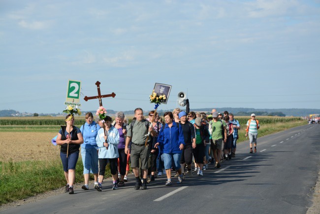 Środa na szlaku