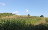 11. Pielgrzymka Brzezińska