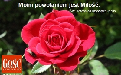 Moim powołaniem jest Miłość