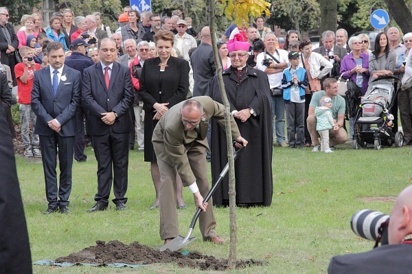 Dąb Wolności w Gdansku