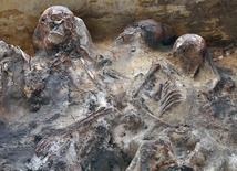 Szczątki wojskowych, być może Polaków, znalezione w Zdziarach