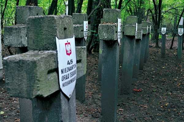  Każdy z krzyży na cmentarzach w lesie ościsłowskim odpowiada 26  lub 45 „nieznanym ofiarom terroru hitlerowskiego”