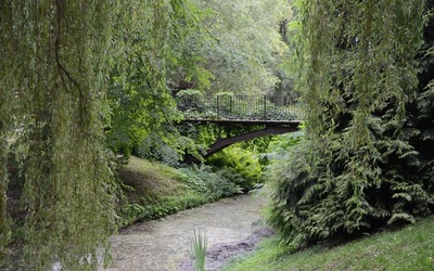 Ogród Botaniczny