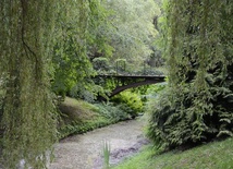 Ogród Botaniczny