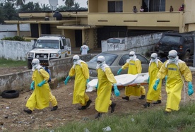 Zwalczył ebolę, wraca tam gdzie wirus