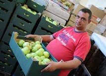 W magazynach diecezjalnej Caritas można już odbierać jabłka i marchew