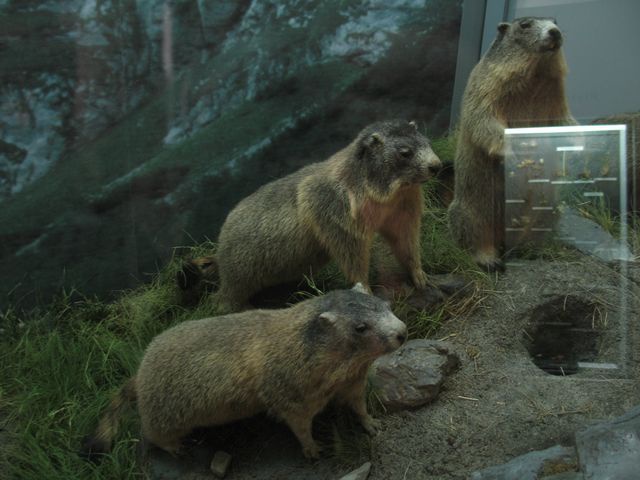 125 lat Muzeum Tatrzańskiego