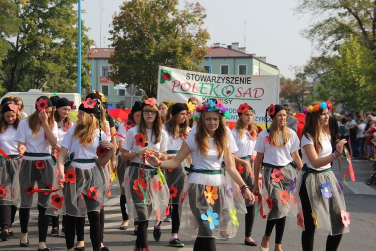 Skierniewickie Corso 2014