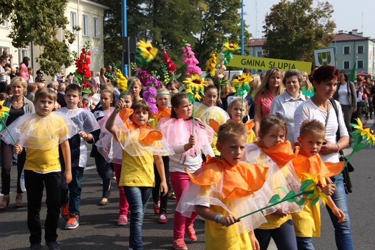 Skierniewickie Corso 2014