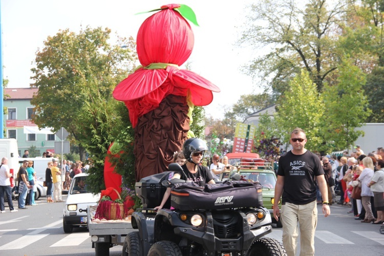 Skierniewickie Corso 2014