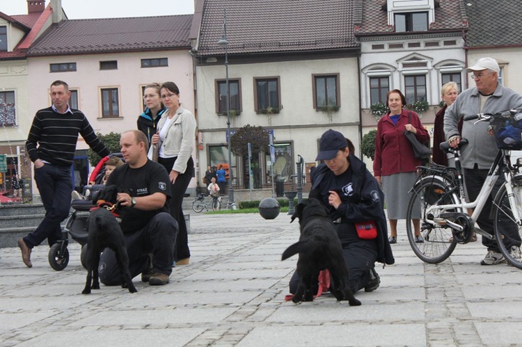 Maltański Dzień Promocji Zdrowia w Kętach