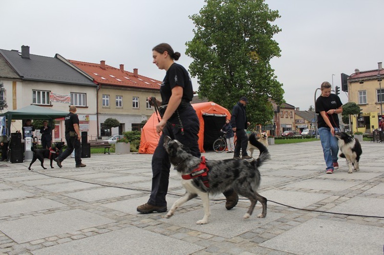 Maltański Dzień Promocji Zdrowia w Kętach