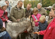 Święto świętego ekologa 