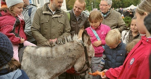 Święto świętego ekologa 