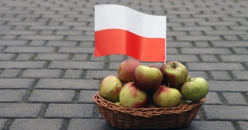 23 kilogramy zdrowia