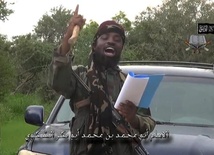 260 bojowników Boko Haram złożyło broń
