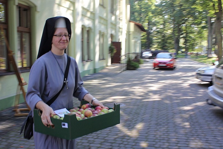 Owoce i warzywa dla Żywiecczyzny. Część 1