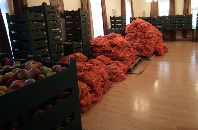 Owoce i warzywa dla Żywiecczyzny. Część 2