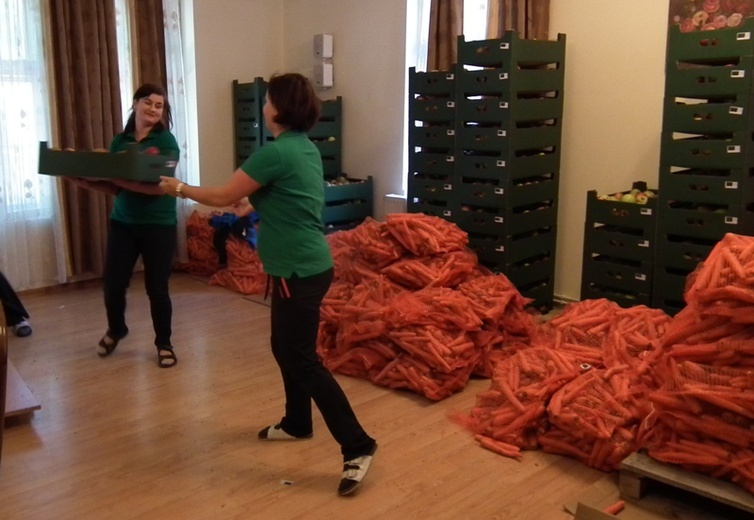 Owoce i warzywa dla Żywiecczyzny. Część 2