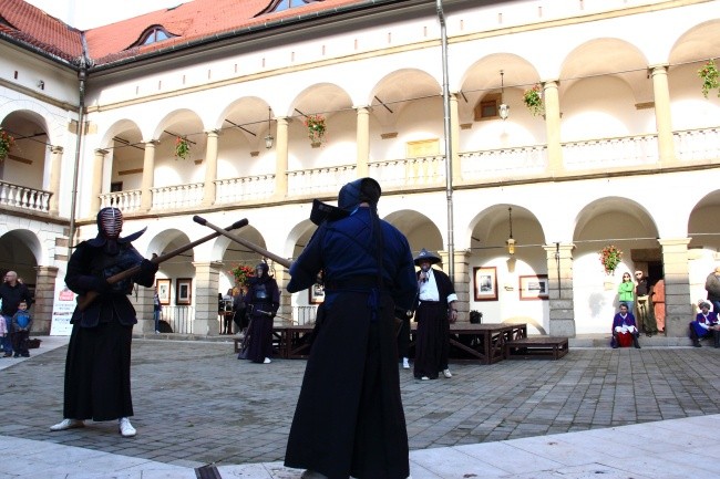 IX Pola Chwały: japońska sztuka walki karabinem