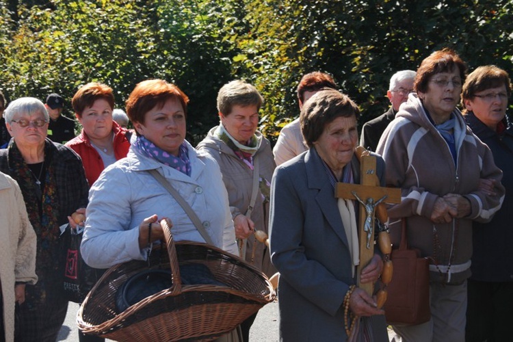 Pielgrzymka Kół Żywego Różańca do Domaniewic