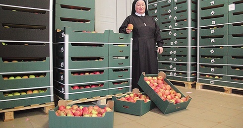  Siostra Wacława koordynowała akcję wydawania jabłek potrzebującym