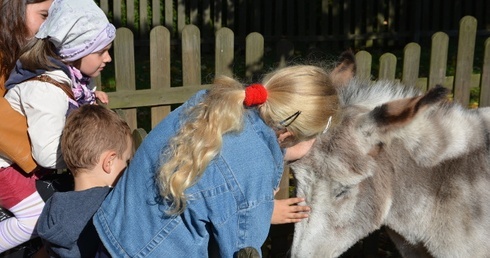 Ekologiczne świętowanie