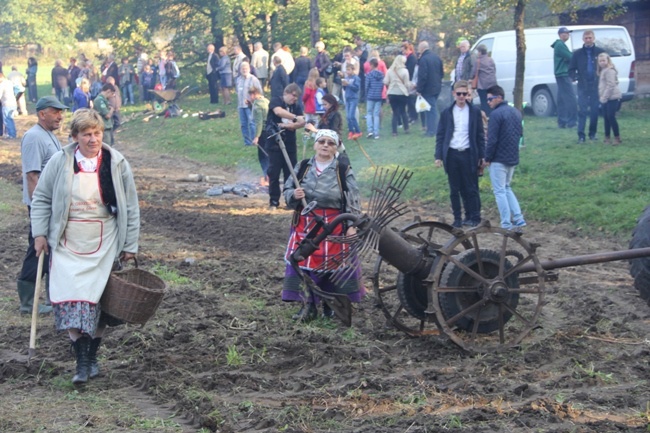 "Festiwal Ziemniaka" w Muzeum Wsi Radomskiej