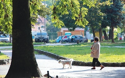  Czasem to pies wyprowadza seniora na spacer