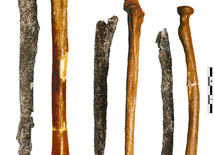 Odkryto kości sprzed 200 tys. lat