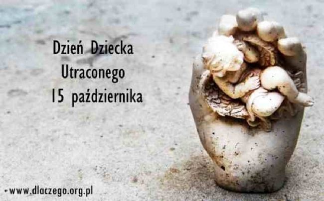 Dzisiaj Dzień Dziecka Utraconego