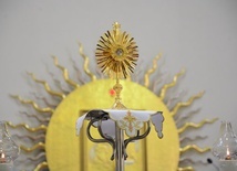 Relikwie św. Jana Kantego w Opolu