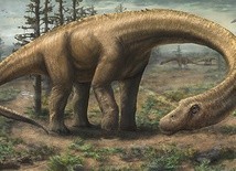 Tak mógł wyglądać Dreadnoughtus schrani