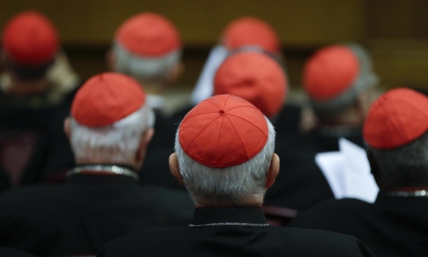 Kościół, aby iść naprzód, potrzebuje ciągłości 