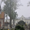 Stary cmentarz w Brzesku