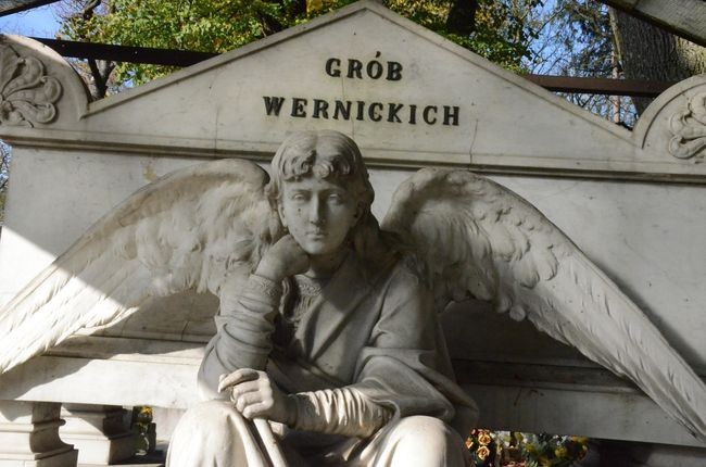 Cmentarz nałęczowski