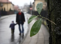 Dzieci rozwodników mają żal