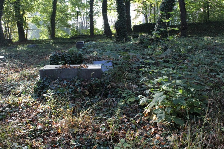 "Nowy" cmentarz żydowski w Cieszynie