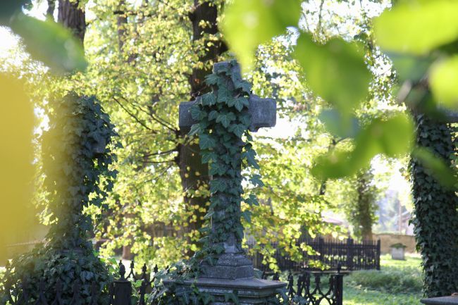 Lapidarium rzeźby nagrobnej we Wschowie