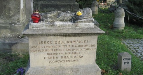 Róża dla Ludki