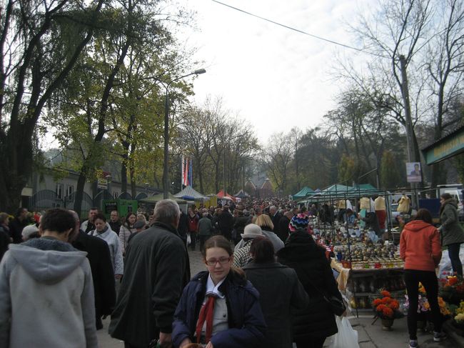 1 listopada 2014 na cmentarzu Podgórskim