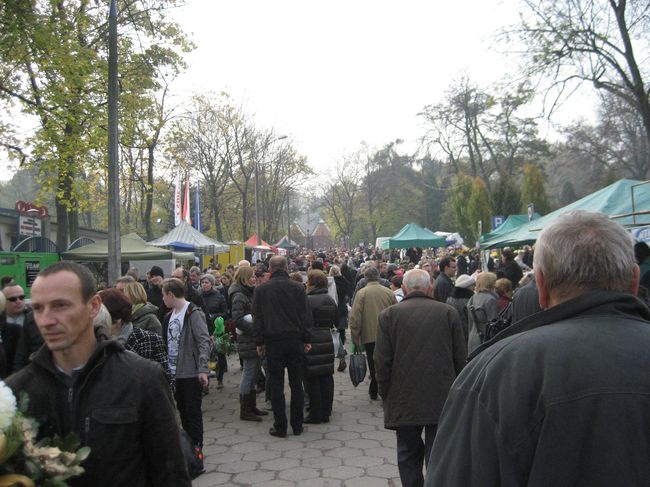 1 listopada 2014 na cmentarzu Podgórskim