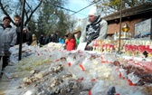 Wszystkich Świętych na Rakowicach