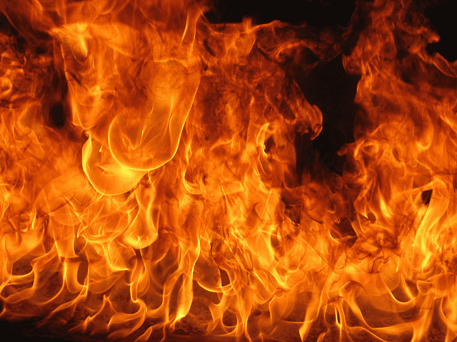 アンダルシアの馬:誇りと優雅さを持った燃えるようなスペイン人