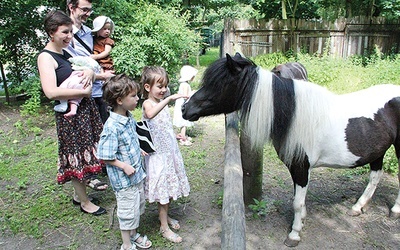  Wrocławskie zoo i trzebnicki aquapark, mimo że są objęte zniżkowym programem dla dużych rodzin z dwóch różnych gmin, honorują wzajemnie swoje zniżki. Taka współpraca jest wyjątkiem na skalę kraju. Na zdjęciu rodzina państwa Mokrzyckich