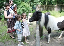  Wrocławskie zoo i trzebnicki aquapark, mimo że są objęte zniżkowym programem dla dużych rodzin z dwóch różnych gmin, honorują wzajemnie swoje zniżki. Taka współpraca jest wyjątkiem na skalę kraju. Na zdjęciu rodzina państwa Mokrzyckich