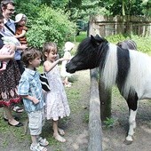  Wrocławskie zoo i trzebnicki aquapark, mimo że są objęte zniżkowym programem dla dużych rodzin z dwóch różnych gmin, honorują wzajemnie swoje zniżki. Taka współpraca jest wyjątkiem na skalę kraju. Na zdjęciu rodzina państwa Mokrzyckich