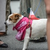 Festiwal antypatriotyzmu